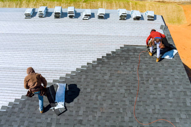 Best Roof Gutter Cleaning  in Williamsburg, OH
