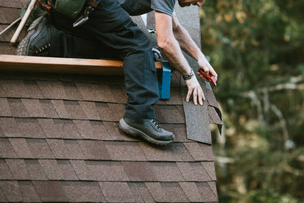 Best Roof Repair Services  in Williamsburg, OH